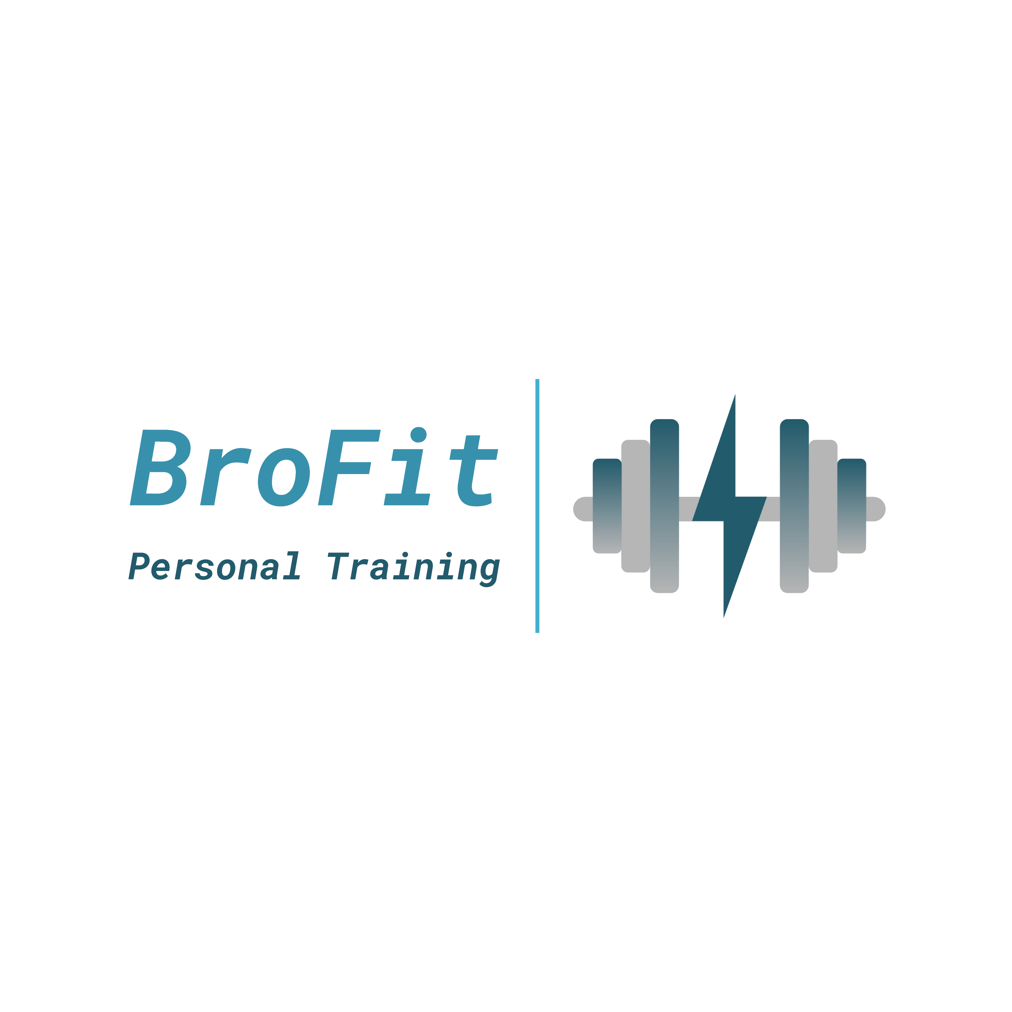 logo for BroFit